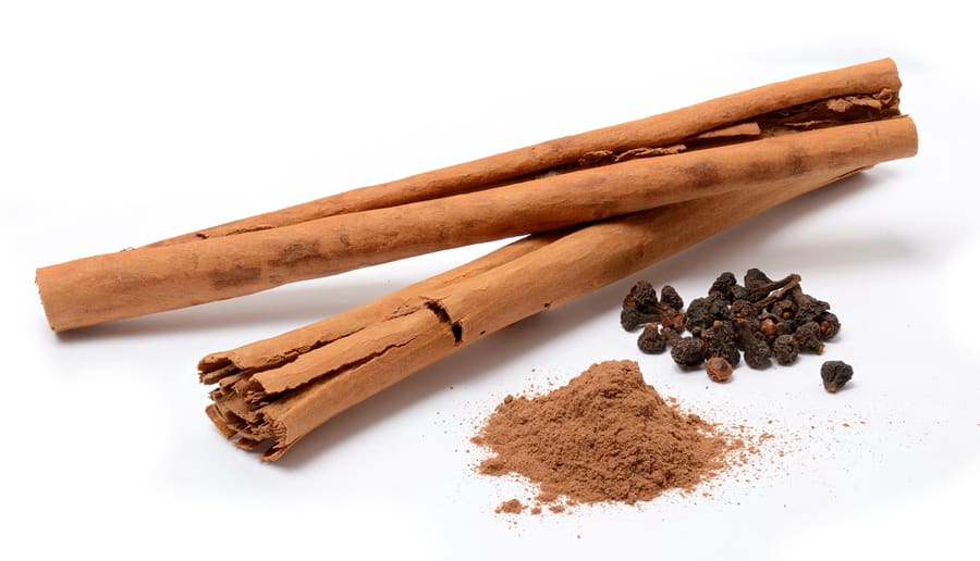 Cinnamon (Cinnamomum verum) plant