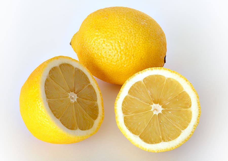 Lemon (Citrus limon) plant