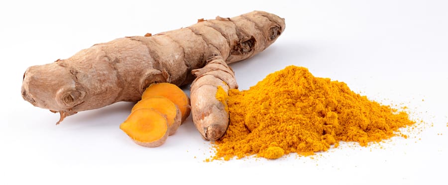 Turmeric (Curcuma longa) plant
